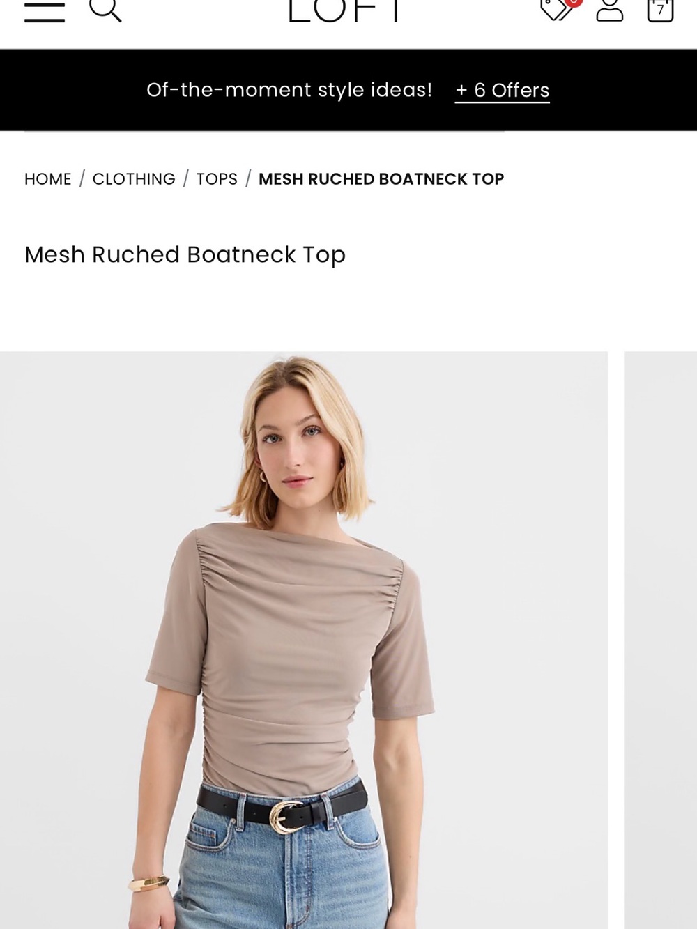 LOFT Taupe Mesh Ruched Boatneck Top